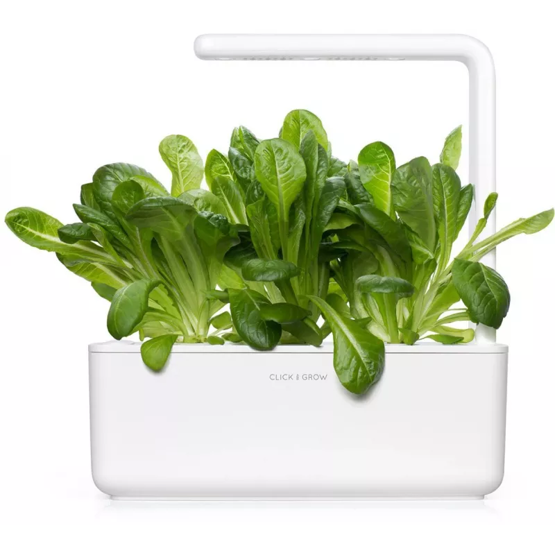 Click & Grow SGR50X3 Salat Pflanzenkapseln Nachfüllpackung (3er-Pack)