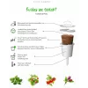 Click & Grow SGR50X3 Salat Pflanzenkapseln Nachfüllpackung (3er-Pack)