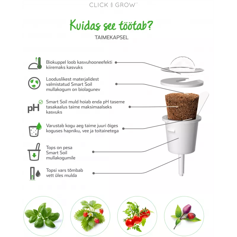 Click & Grow SGR50X3 Salat Pflanzenkapseln Nachfüllpackung (3er-Pack)