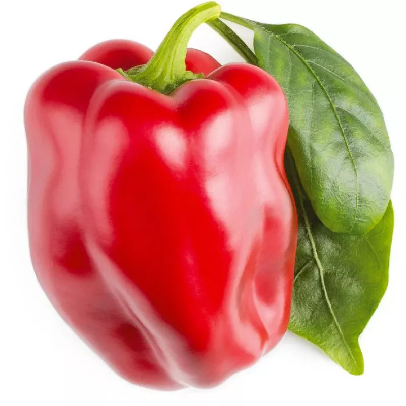 Click & Grow SGR63X3 Smart Garden 3 Pflanzenkapseln Nachfüllpackung (3 Kapseln, biologisch abbaubar, vorbepflanzt, Smart Soil)