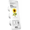 Click & Grow Mini-Sonnenblume Pflanzenkapseln für Smart Garden, 3er-Pack (SGR65X3)