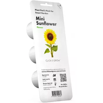 Click & Grow Mini-Sonnenblume Pflanzenkapseln für Smart Garden, 3er-Pack (SGR65X3)