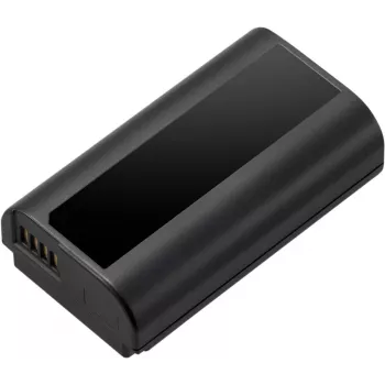 Panasonic DMW-BLJ31E Lithium-Ionen-Akku für Lumix S-Serie Kameras, 3100 mAh, 7,2 V