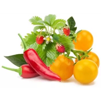 Click & Grow Obst- und Gemüse-Mix Pflanzenkapseln für Smart Garden, 9er-Pack (PPMFVX9)