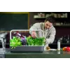 Click & Grow Smart Garden 9, Grau (SG9S8UNI)
