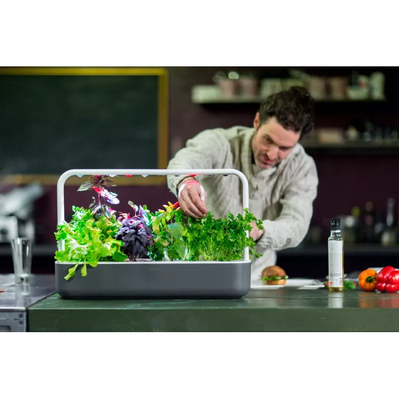 Click & Grow Smart Garden 9, Grau (SG9S8UNI)