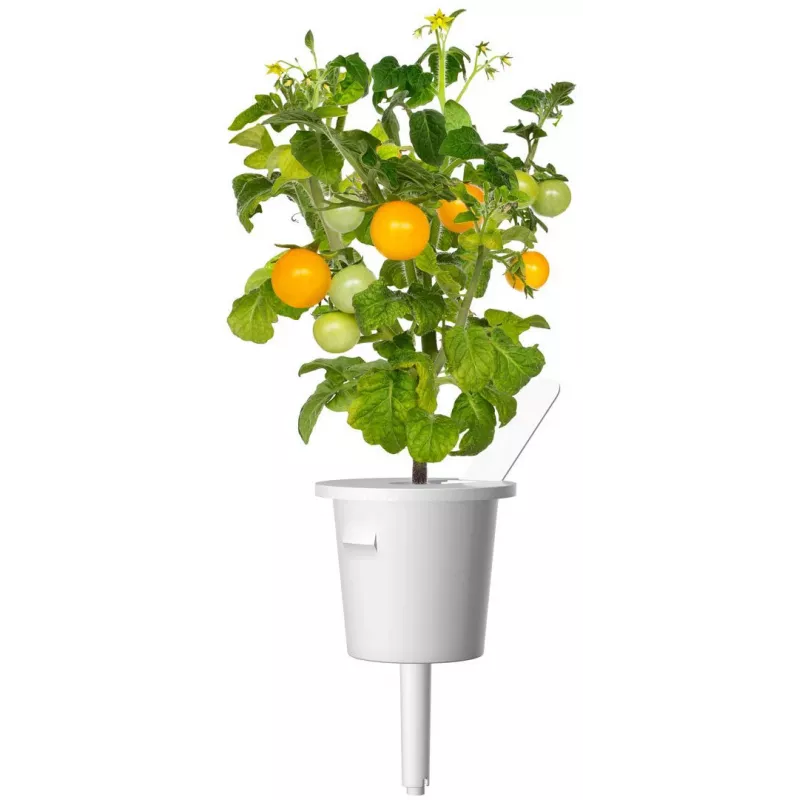 Click and Grow Smart Garden Refill 3er-Pack Mini-Tomaten-Pflanzenkapseln