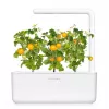 Click and Grow Smart Garden Refill 3er-Pack Mini-Tomaten-Pflanzenkapseln