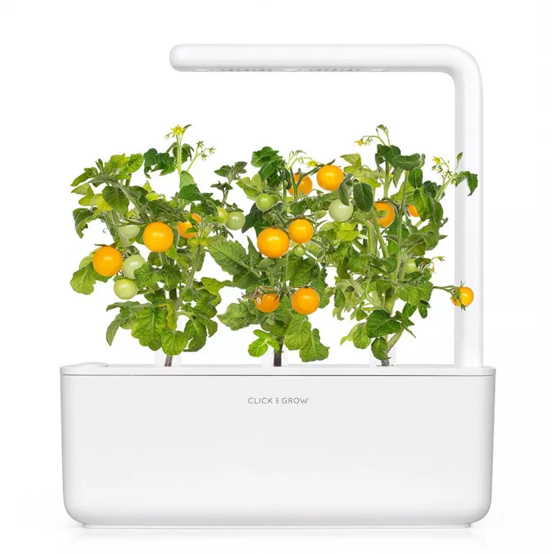 Click and Grow Smart Garden Refill 3er-Pack Mini-Tomaten-Pflanzenkapseln