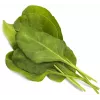 Click & Grow Smart Garden Nachfüllpackung Grüner Mangold, 3 Pflanzkapseln (SGR64X3)