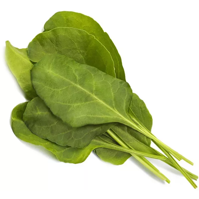 Click & Grow Smart Garden Nachfüllpackung Grüner Mangold, 3 Pflanzkapseln (SGR64X3)