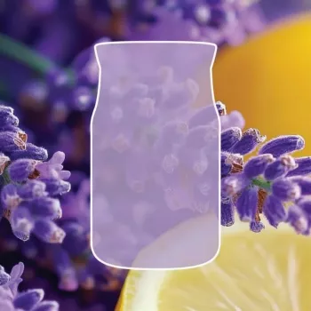 Yankee Candle Signature Lemon Lavender Duftkerze im großen Glas 567g