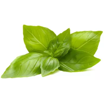 Click & Grow Zitronenbasilikum Pflanzenkapseln für Smart Garden, 3er-Pack (SGR76X3)