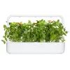 Click & Grow Zitronenbasilikum Pflanzenkapseln für Smart Garden, 3er-Pack (SGR76X3)