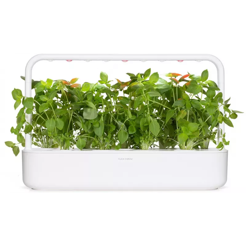 Click & Grow Zitronenbasilikum Pflanzenkapseln für Smart Garden, 3er-Pack (SGR76X3)