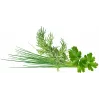 Click & Grow Plant Pod Classic Garnish Mix, 9 Stk. (PPMCGX9)