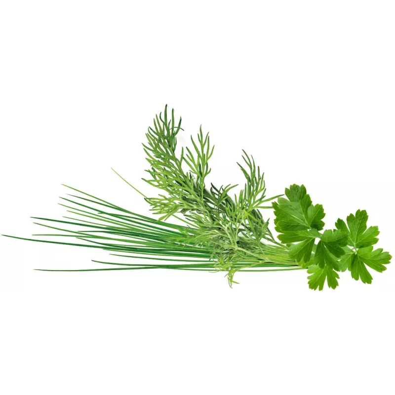 Click & Grow Plant Pod Classic Garnish Mix, 9 Stk. (PPMCGX9)