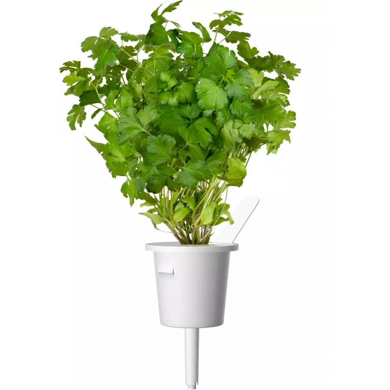 Click & Grow Steak-Kräuter-Mix Pflanzenkapseln für Smart Garden, 9er-Pack (PPMSSX9)