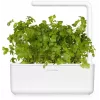 Click & Grow SGR68x3 Petersilien-Pflanzenkapseln (3er-Pack)