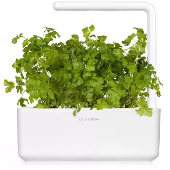Click & Grow SGR68x3 Petersilien-Pflanzenkapseln (3er-Pack)