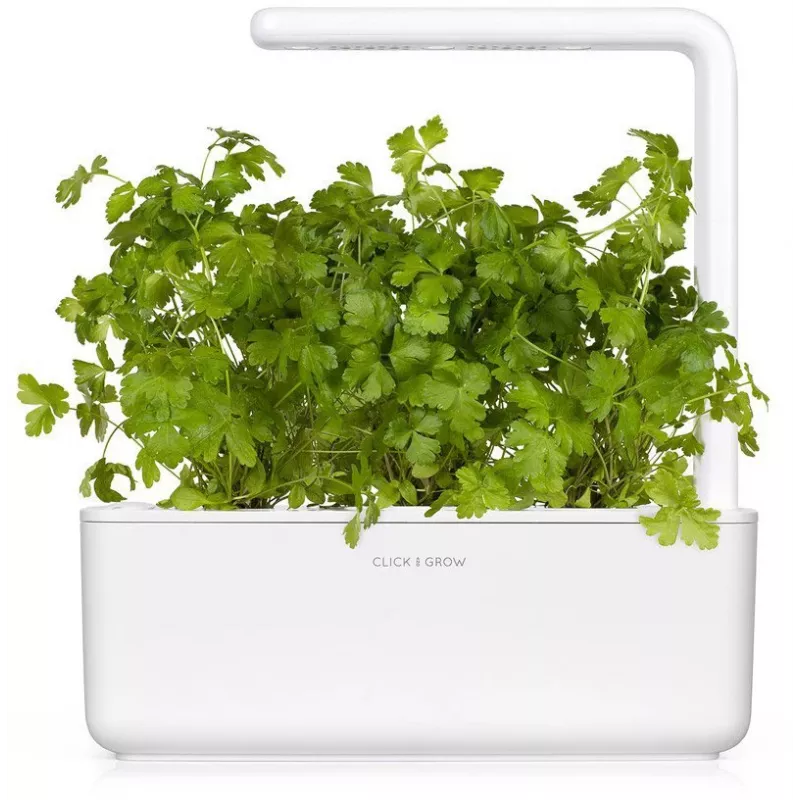 Click & Grow SGR68x3 Petersilien-Pflanzenkapseln (3er-Pack)