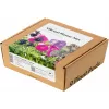 Click & Grow Vibrant Flower Mix Pflanzenkapseln für Smart Garden, 9er-Pack (PPMVBX9)