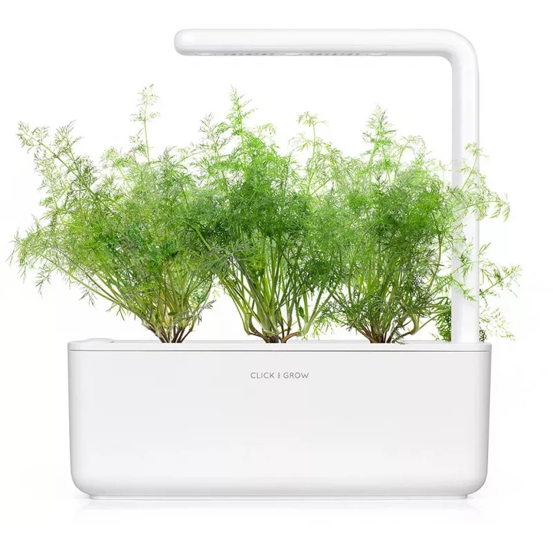 Click & Grow SGR49x3 Dill Pflanzenschoten Nachfüllpackung 3er-Pack