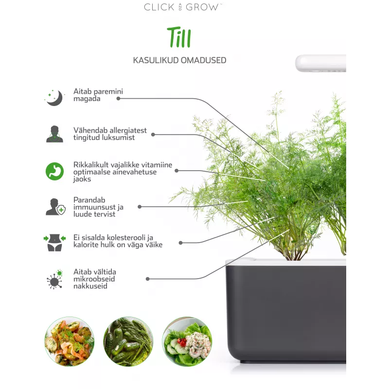 Click & Grow SGR49x3 Dill Pflanzenschoten Nachfüllpackung 3er-Pack