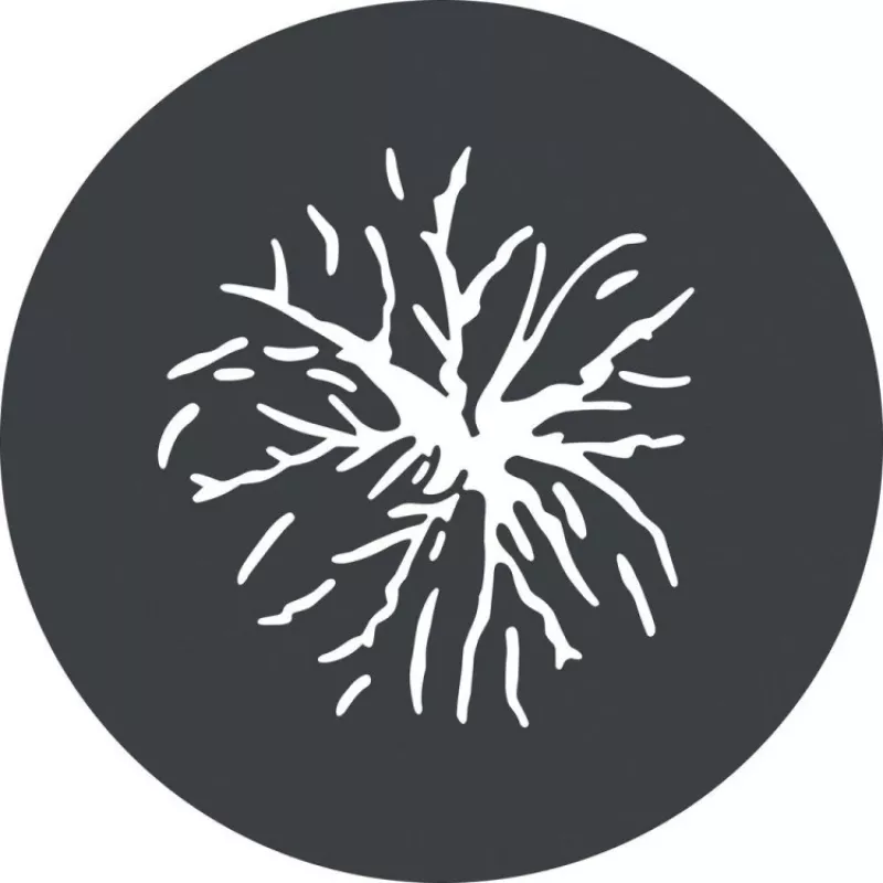 Godox GP GS2 Gobo-Set für GP-Projektionsaufsatz (6 Muster)