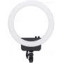 Nanlite Halo16 LED-Ringleuchte (12-2024-JSG)