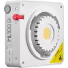 Godox ML100 Bi-color Kit 2 - 100W LED-Monolicht mit Softbox, Stativ, Reflektor & Tragetasche