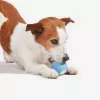 Cheerble Wicked Ball SE Interaktives Hundespielzeug für kleine Hunde, Blau