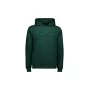 POC Hooded Sweatshirt Grün Unisex Freizeit-Pullover