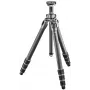Gitzo GT3542 Mountaineer Series 3 Carbon Fiber Stativ