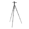 Manfrotto MKBFRTC4GTFB-3W Befree GT Carbon Fiber Reise-Stativ mit 3-Wege-Fluidkopf, Twist-Locks, 10kg Tragkraft, 164cm max. Höhe, Schwarz