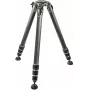 Gitzo GT4543LS Systematic Serie 4 Carbon Fiber Stativ