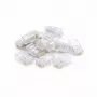 DSIT CAT6 UTP RJ45 Stecker für Massivleiter – 10er Pack