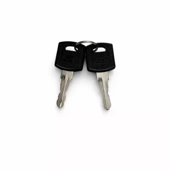 DSIT DS-SIDELOCK-KEY Ersatzschlüssel für Seitenteile von Server-Schränken (2er-Pack)