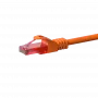 DSIT CAT6 Netzwerkkabel U/UTP 0,25 m Orange 100% Kupfer