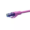DSIT CAT6a U/UTP 30m pinkes Netzwerk-Patchkabel, 100% Kupfer, 10Gbps, RJ45
