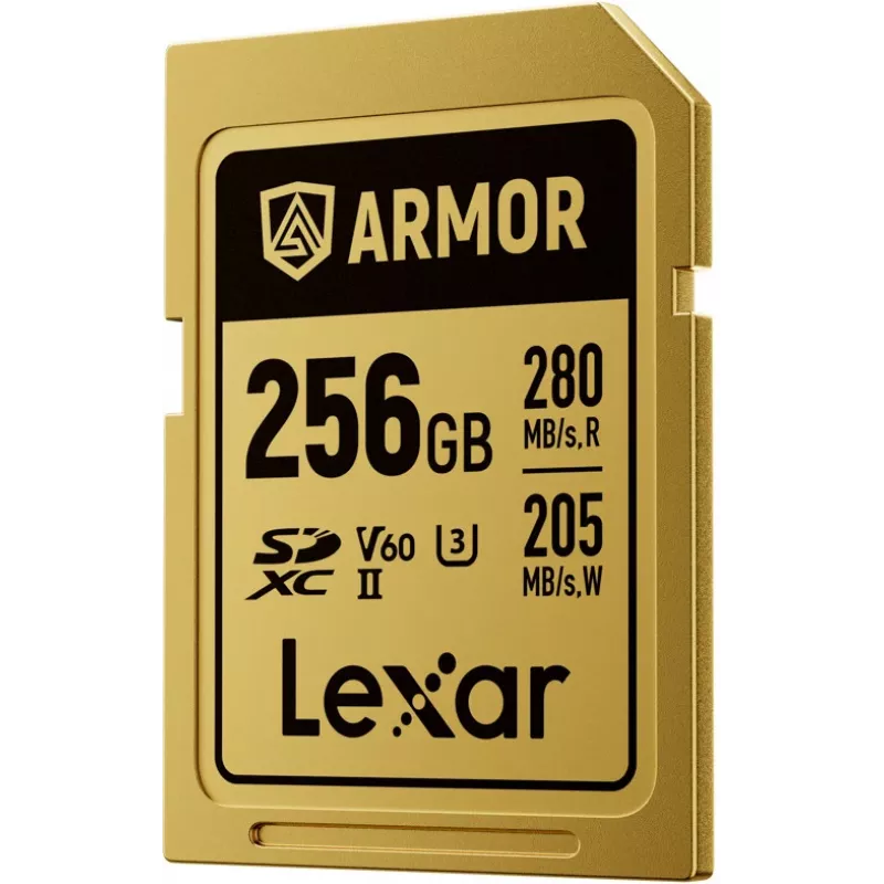 Lexar Professional ARMOR GOLD SDXC UHS-II Speicherkarte, 256 GB, V60 (LSDAMGL256G-RNNNG)