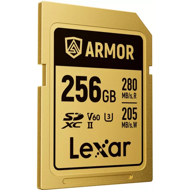 Lexar Professional ARMOR GOLD SDXC UHS-II Speicherkarte, 256 GB, V60 (LSDAMGL256G-RNNNG)
