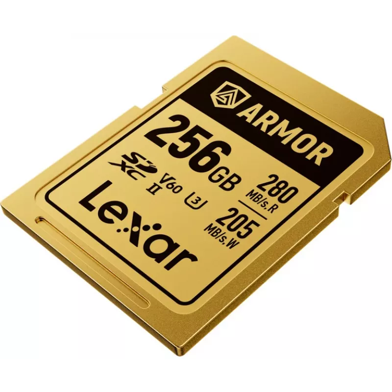 Lexar Professional ARMOR GOLD SDXC UHS-II Speicherkarte, 256 GB, V60 (LSDAMGL256G-RNNNG)