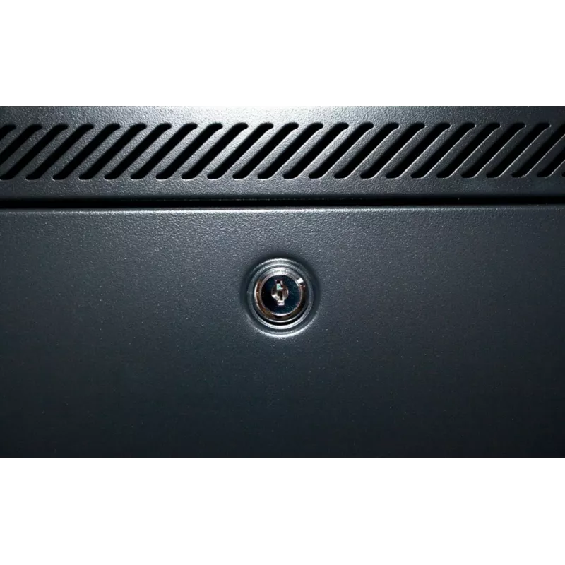 DSIT 19 inch Server-Rack-Schrank mit perforierter Fronttür 600x1000 mm - 42U, Schwarz