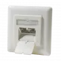DSIT DC-Wall-In-STP6A-I Unterputz Cat.6a geschirmte 2-Port RJ45 Dose, Elfenbein