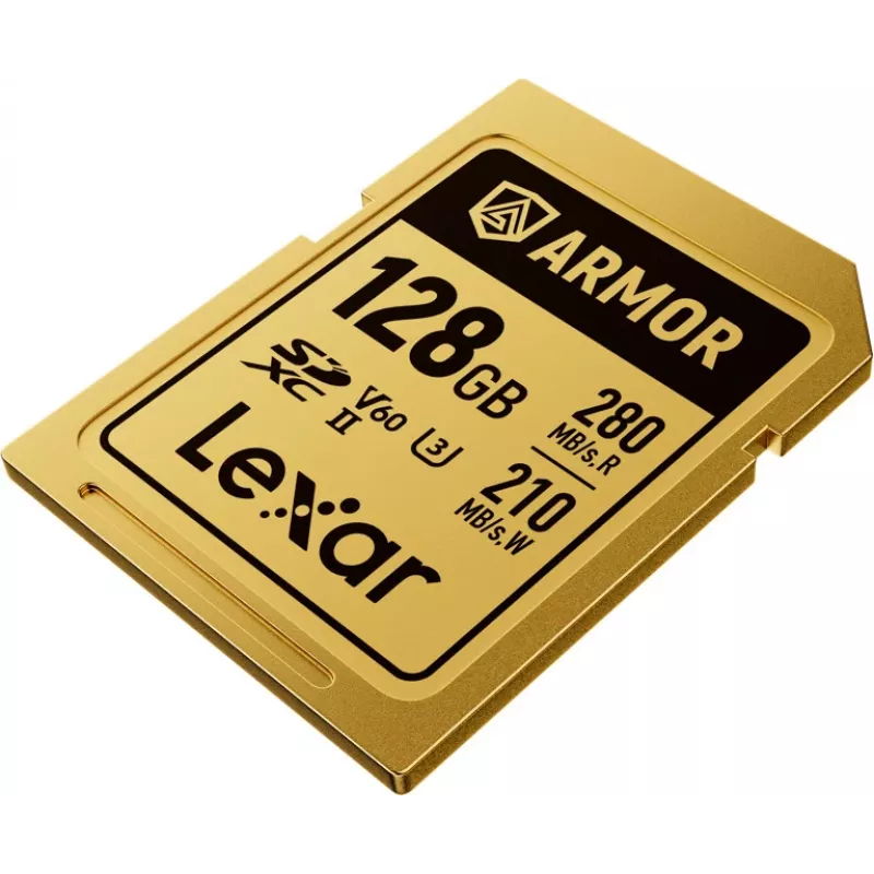 Lexar Professional ARMOR GOLD 128GB SDXC UHS-II V60 Speicherkarte (LSDAMGL128G-RNNNG)