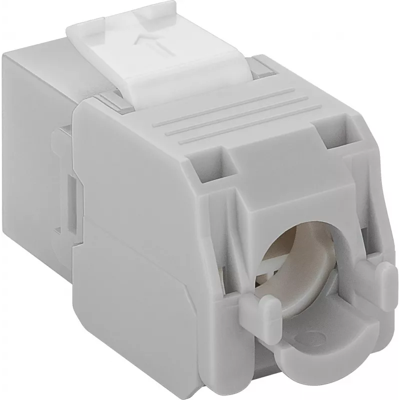 DS-IT CAT6a UTP Keystone Netzwerkdose - werkzeuglos - Grau (DS-KC-UTP6A-TL-2)