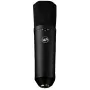 Warm Audio WA-87 R2 BL Großmembran-Kondensatormikrofon - Nickel