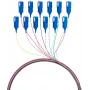 EFB Elektronik Glasfaser-Pigtail SC 9/125 OS2 12-Farben-Set 2m - Singlemode-Kabel/Adapter-Set