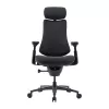 LiberNovo Omni Pro 48 cm ergonomischer Stuhl (Graphit)